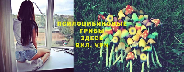 соль ск Мегион
