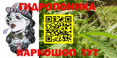 мдпв Донецк
