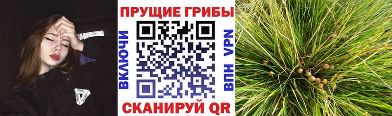 ссылка на мегу ONION  Шали  Галлюциногенные грибы ЛСД 