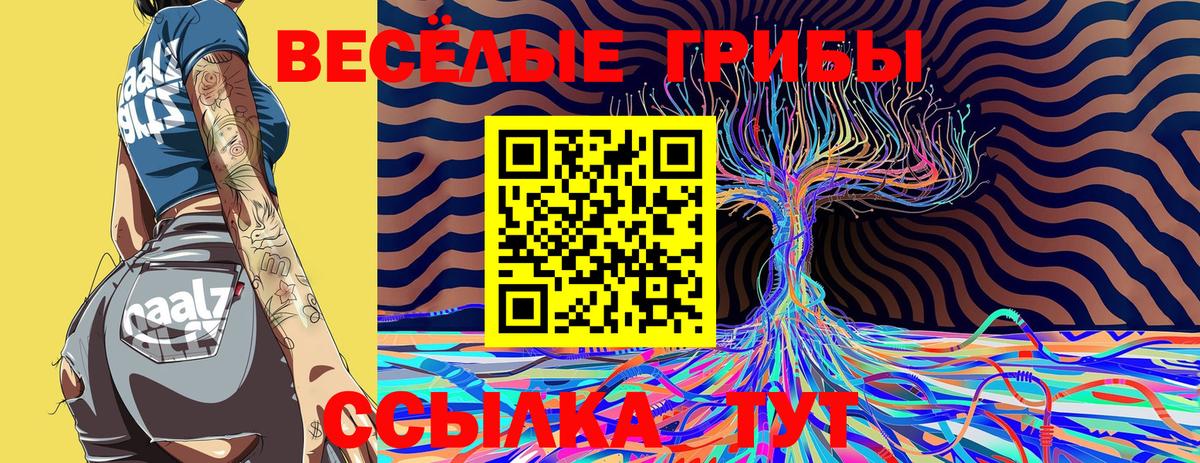 Псилоцибиновые грибы GOLDEN TEACHER  Вход с VPN  Шали 