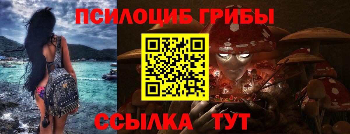 Галлюциногенные грибы ЛСД  Шали  Галлюциногенные грибы мицелий 