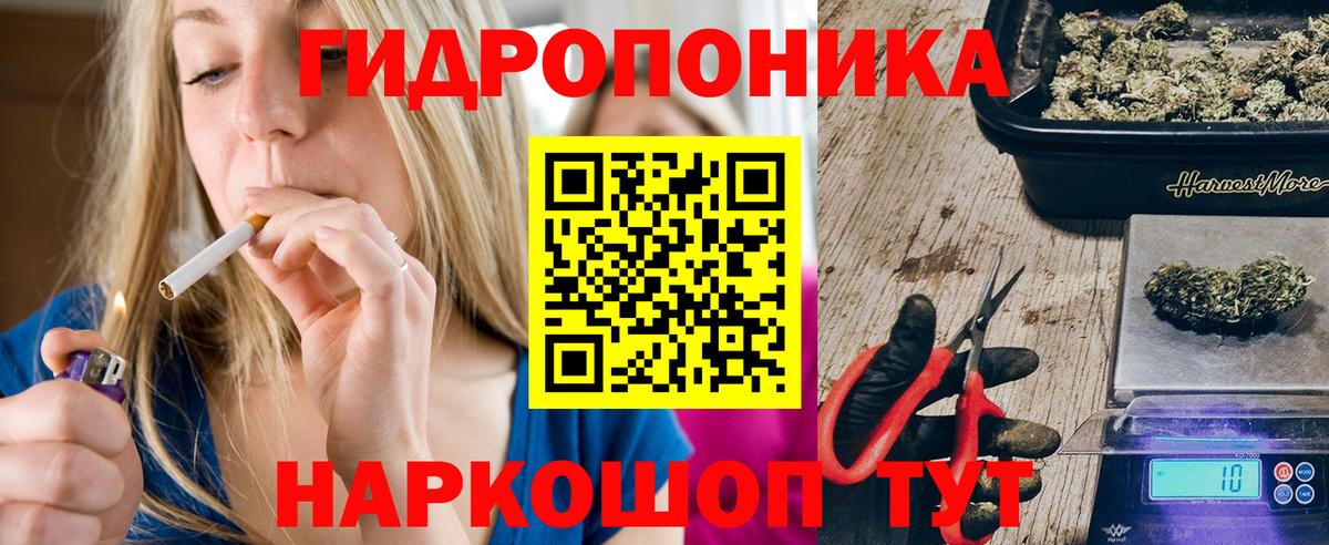 Канабис индика  Канабис сатива  Шали  МАРИХУАНА THC 21% 